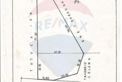 Teren Construcții intravilan de 3551 mp, în Poiana Copăceni - 6