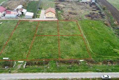 Teren de 600 mp, în Botizului - 7