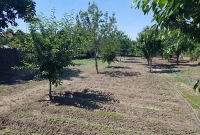 Casă cu 3 camere cu Teren 1845 Mp în Central - 4