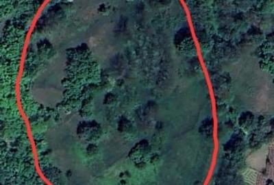 Teren intravilan 15267m2 Teren intravilan 15267m2 - 3