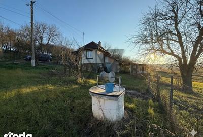 Casă cu 2 camere cu Teren 3200 Mp în Borșa - 3