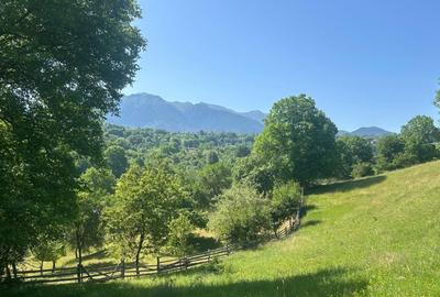 Teren Sohodol cu vedere catre M-tii Bucegi