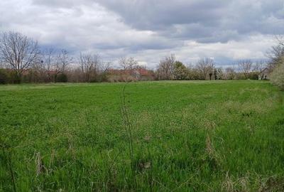 Teren de 6500 mp, în Racovița - 3