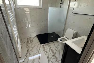 Casă cu 2 camere cu Teren 380 Mp în Strejnicu - 6