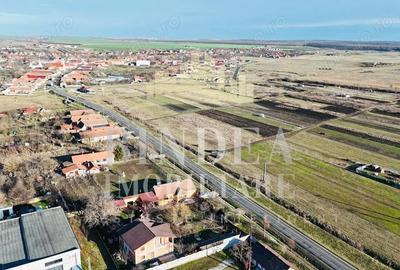 Teren de 1500 mp, în Pișchia - 5