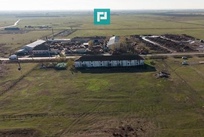 Hală industrială cu teren generos în Zărand, Arad - 31