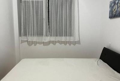 Central-Vasile Lascar, 2 cam dec, mobilat, utilat, parcare, paza - 24