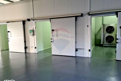 Spațiu comercial, de 700 mp, în Braniștea - 4