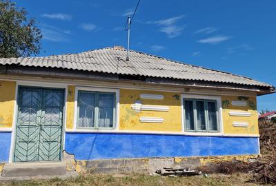 Casa+teren 1.626 mp loc Zapodia- Traian-40 m deschidere la strada - 3