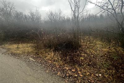 Teren intravilan 653 mp in Boldesti-Scaeni. - 11