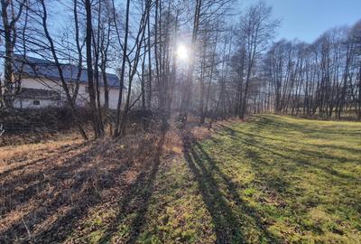 Teren rezidential zona Bran Predelut zona de case si pensiuni - 5