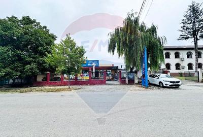 Spațiu comercial, de 400 mp, în Vlad Țepeș - 21