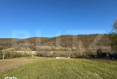 Teren de 2700 mp, în Cârjiți - 2