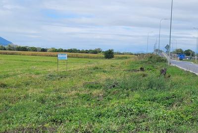 Teren situat in Bartolomeu strada Lanii, suprafata 16.500 mp! - 2