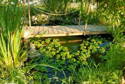 Casă cu 2 camere în Podu Oltului - 1