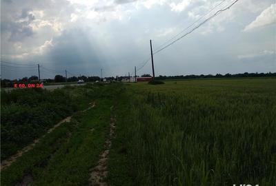 Teren de 43000 mp, în Căzănești - 6