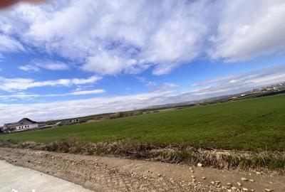 Teren de 8500 mp, în Curtești - 1