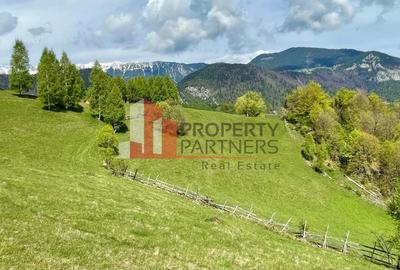 Teren in sat Pestera, comuna Moeciu. - 3