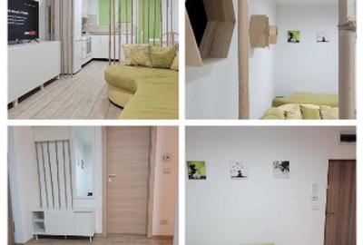 Apartament cu 2 camere semidecomandat în Torontalului - 1