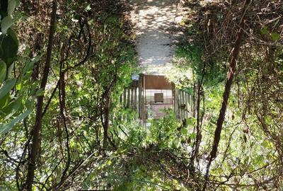 Casa de vanzare si 7600 mp teren intravilan Dor Marunt, Calarasi - 4