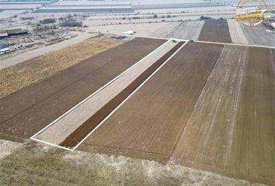 FILM! In areal linistit, acces facil, 4.200 mp  teren extravilan, Covasna - 7