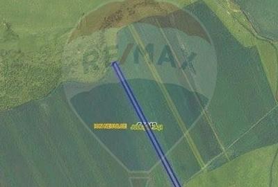 Teren agricol extravilan de 15400 mp, în Ion Neculce - 3