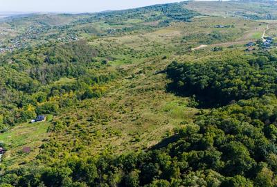 Vanzare Teren Intravilan 11.3 Ha Bucium PUZ+CU valabil Case D+P+E+M - 4