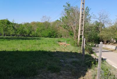 Spațiu comercial, în Băbana - 1