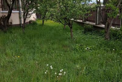 Casă cu 4 camere în Toplița - 1