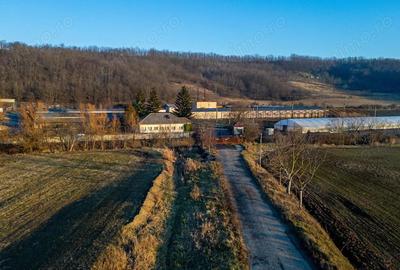 Spațiu comercial, de 50,000 mp, în Horgești - 6