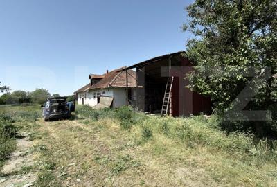 Casă cu 3 camere cu Teren 4000 Mp în Vetiș - 5