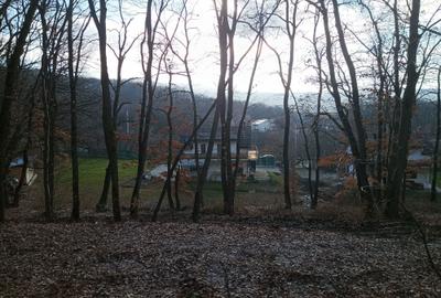 Spațiu comercial, în Făget - 1