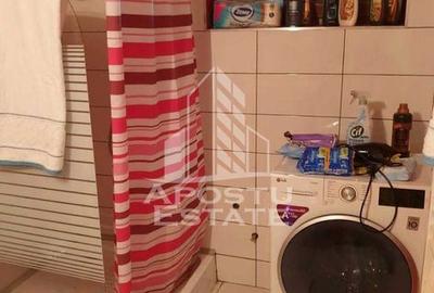 Garsonieră în Iosefin - 4