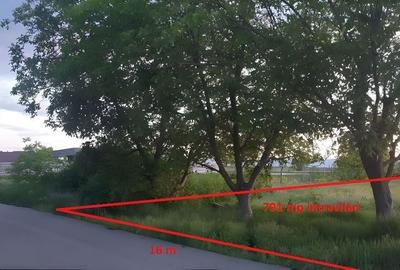 Teren de 4775 mp, în Petrești - 5