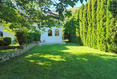 Vilă de vânzare în munții Retezat - 10