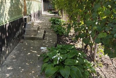 Casa de vanzare 1120mp,Glodeanu Sarat Buzau - 8