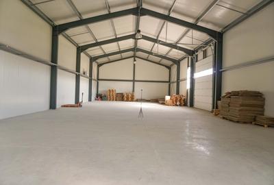 Spațiu industrial, de 1,093 mp, în Odăile - 6