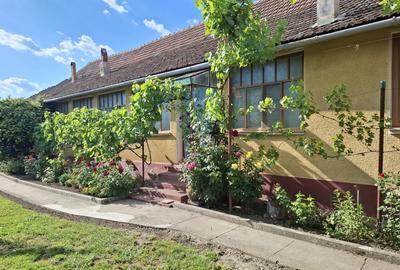 Casa 5 camere cu teren generos in Seitin judetul Arad- - 4