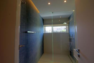 Iancu Nicolae - Jolie Ville duplex cu gradina langa padure - 13