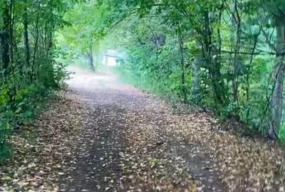 Teren de vanzare zona de munte