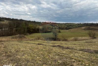 Spațiu comercial, în Copalnic - 6