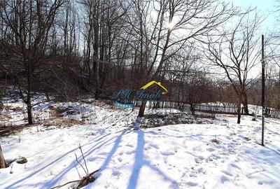 Casă cu 2 camere cu Teren 1969 Mp în Vest - 19