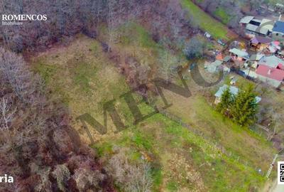 Spațiu comercial, în Ștefănești - 14