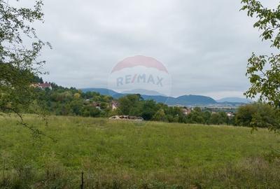 Proiect autorizat (AC) pentru constructia a 2 vile individuale P+M - 9