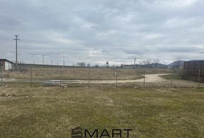 Teren Construcții intravilan de 1000 mp, în Exterior Est - 5
