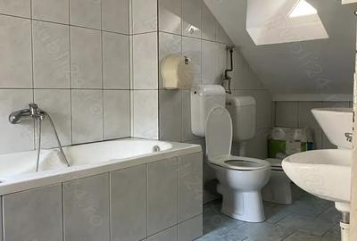 Floreasca Vila 8 camere Floreasca Vila 8 camere - 3