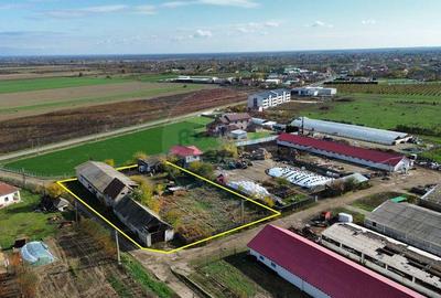 Spațiu comercial, de 600 mp, în Suraia - 3