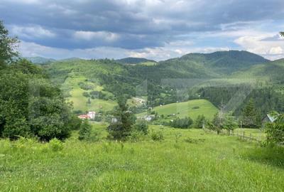 Teren de vanzare, Campulung Moldovenesc, zona Sandru, 2 ha - 1