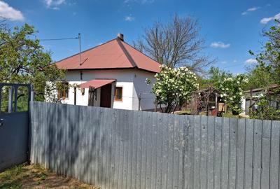 Casă individuală cu 4 camere cu Teren 846 Mp în Tămădău Mare - 1