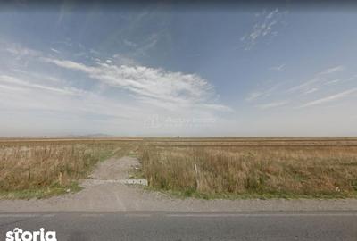 Teren de 2200 mp, în Tărlungeni - 2